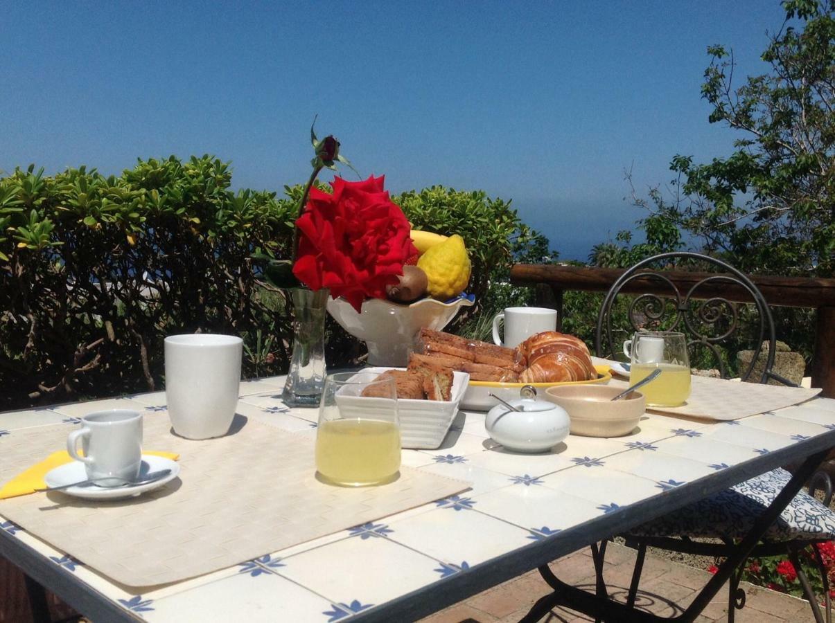La Terrazzina Sul Tramonto Bed & Breakfast Forio  Exterior photo